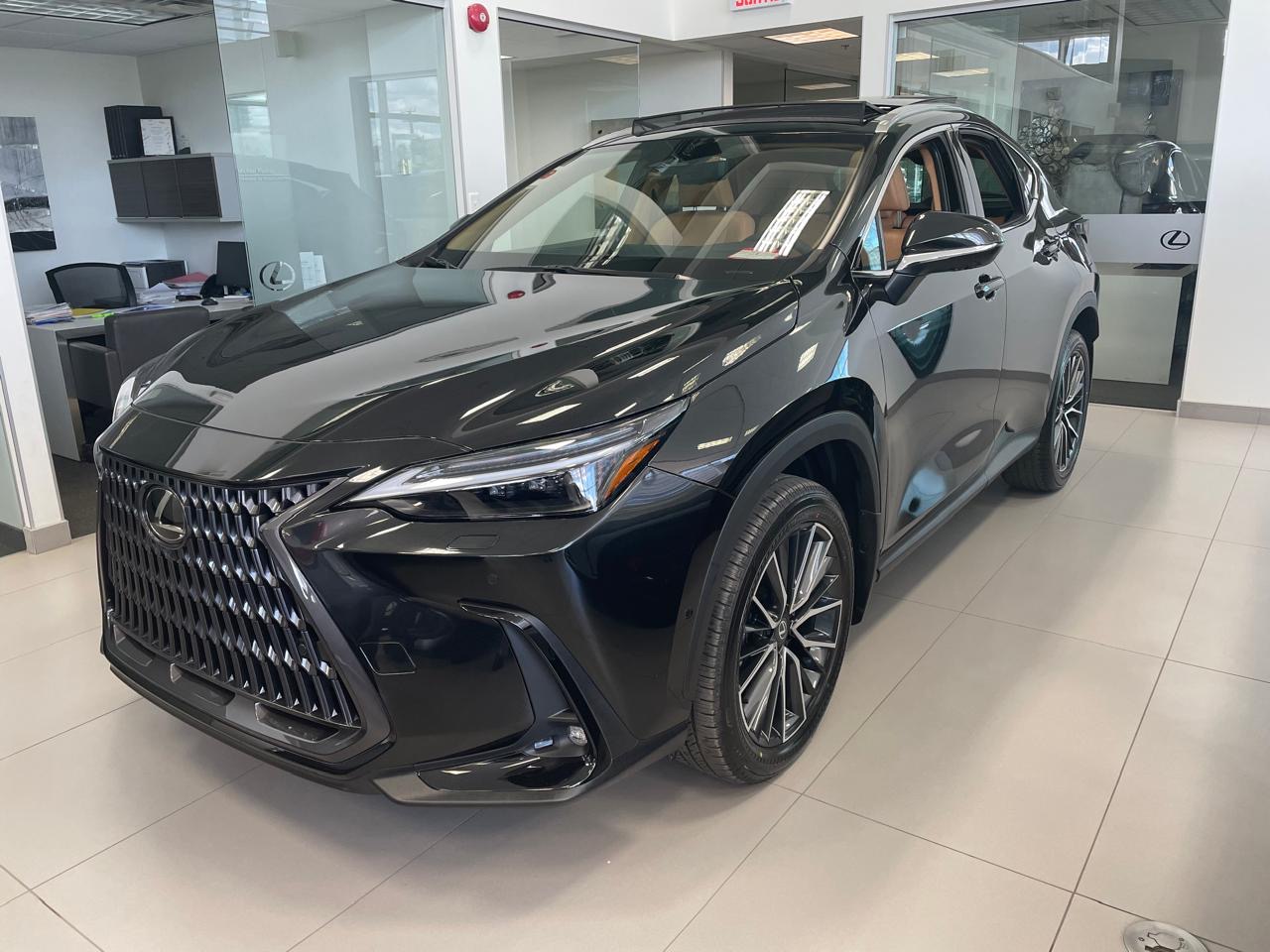 2026 Lexus NX 350