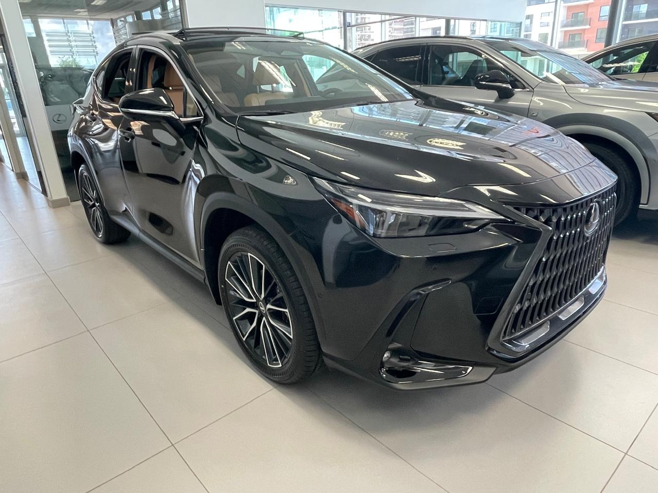 2026 Lexus NX 350